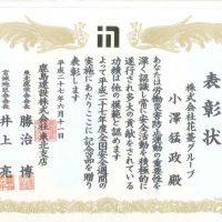 ビンゴ 5 攻略